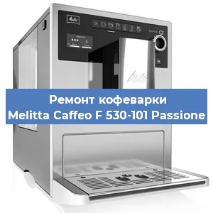 Замена термостата на кофемашине Melitta Caffeo F 530-101 Passione в Новосибирске